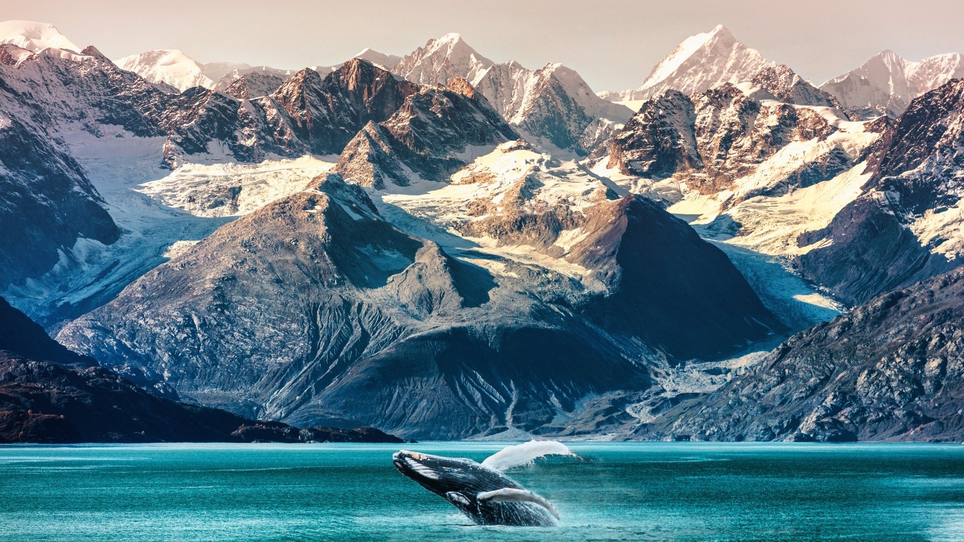 The image depicts a breathtaking scene of a whale breaching the surface of a turquoise sea, surrounded by a stunning mountain range with snow-capped peaks. This picturesque setting captures the beauty of nature, showcasing both marine life and majestic landscapes.