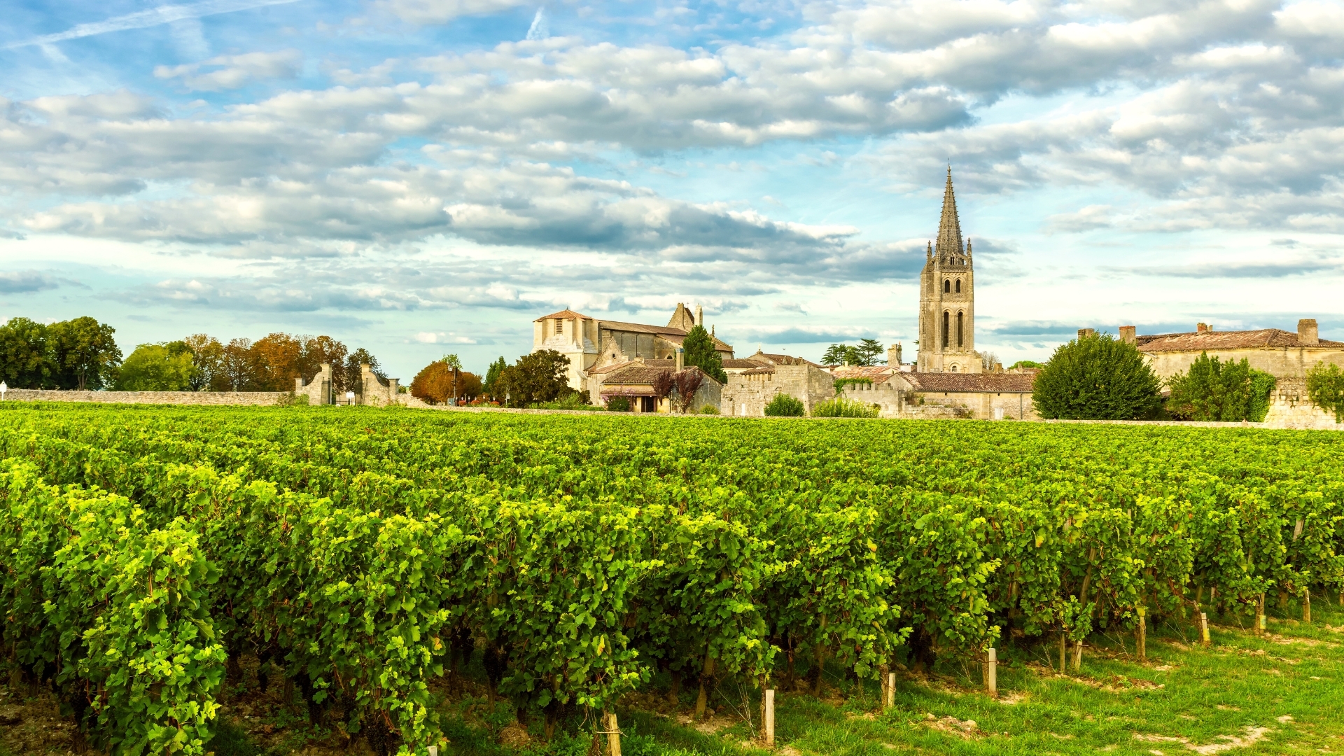 The image depicts the vineyards of Saint Emilion in Bordeaux, France, showcasing lush green grapevines in the foreground with a historic church tower and rustic buildings in the background under a partly cloudy sky.