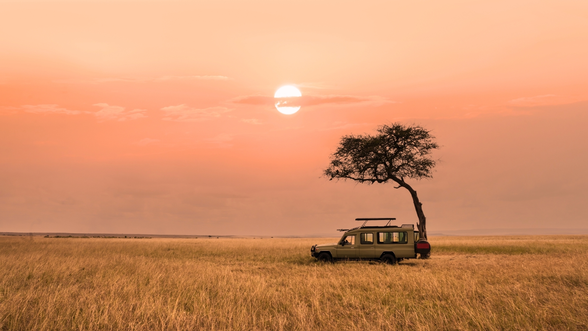 The image depicts a serene savanna grassland in Africa during sunset, featuring a safari tourist vehicle parked beside a solitary tree. The sky is painted in soft hues of orange and pink as the sun sets on the horizon, creating a tranquil and picturesque scene.